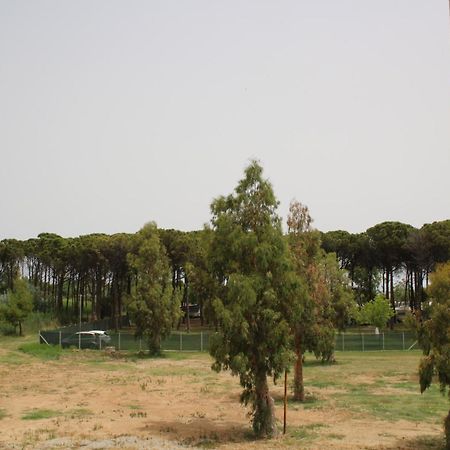 مارينا دي سكيافوني Levante المظهر الخارجي الصورة